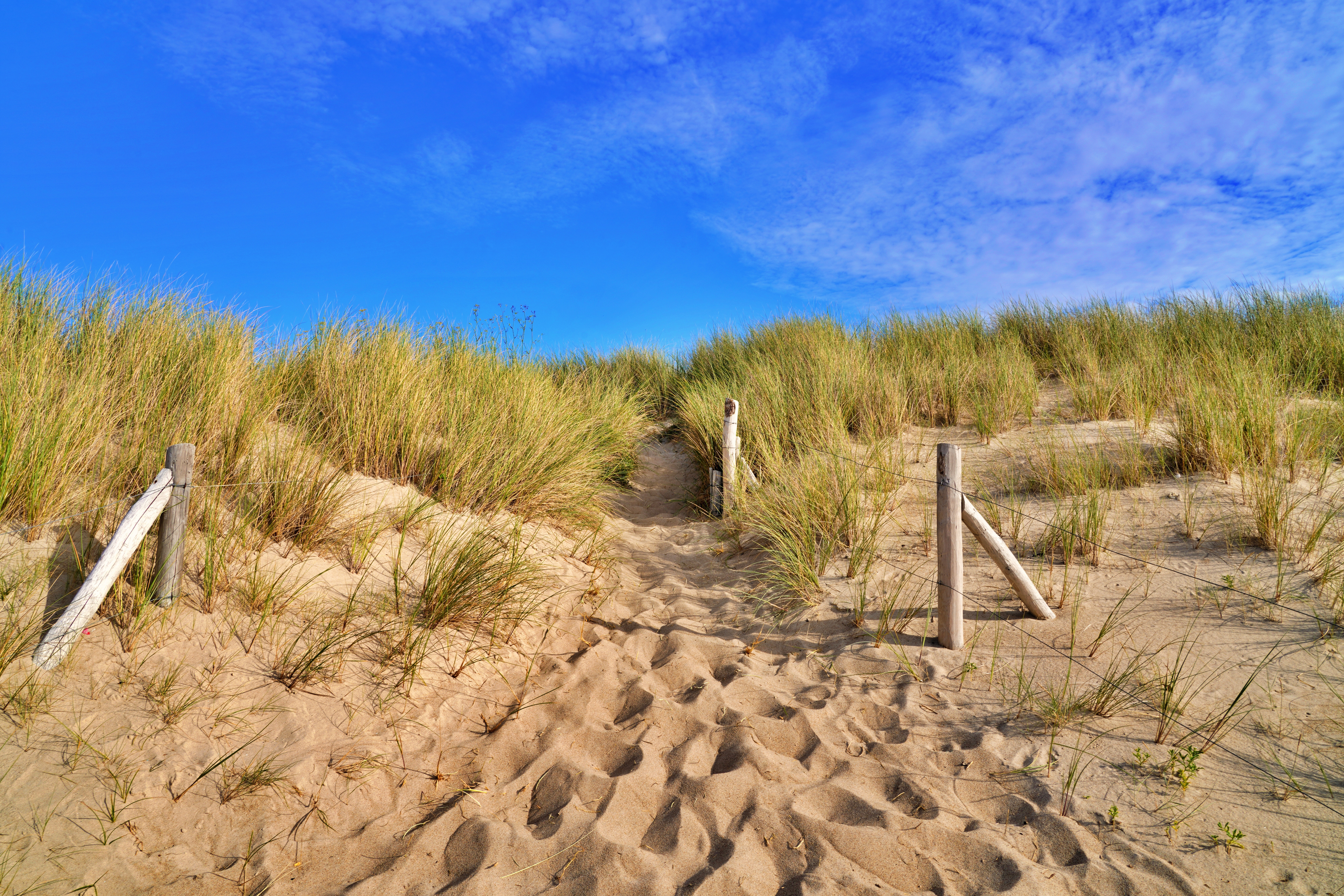 Dune à préserver