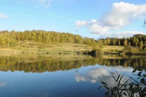 Restauration de milieu humide au Lac bleu de Watten | J'agis pour la nature