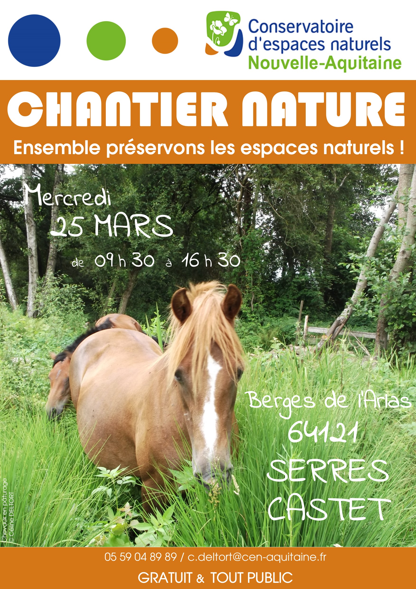 Chantier Nature Ensemble Préservons Les Berges Du Ruisseau De L Arlas