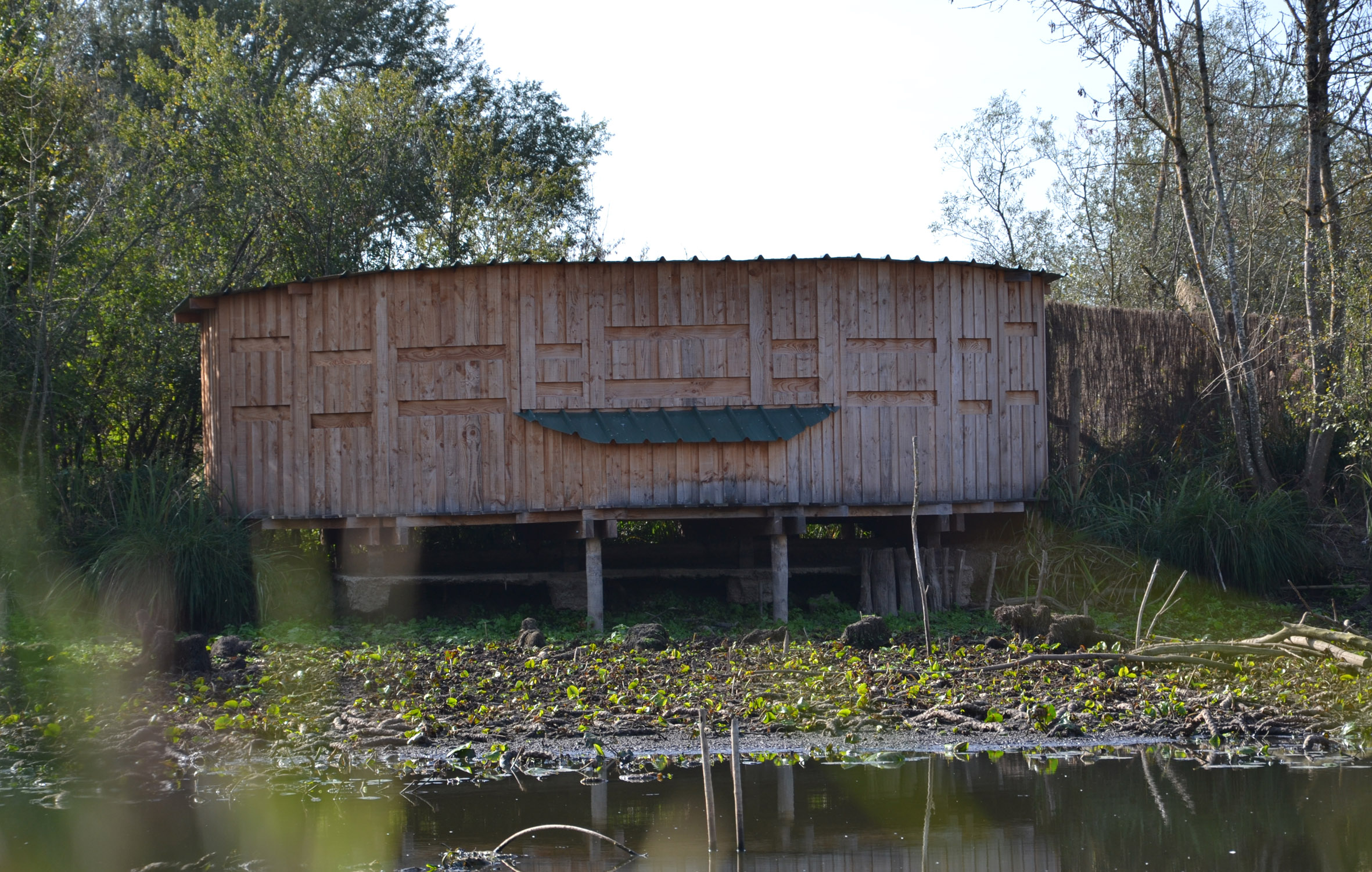 Visite de la Réserve Naturelle Nationale de l'étang de la Mazière J