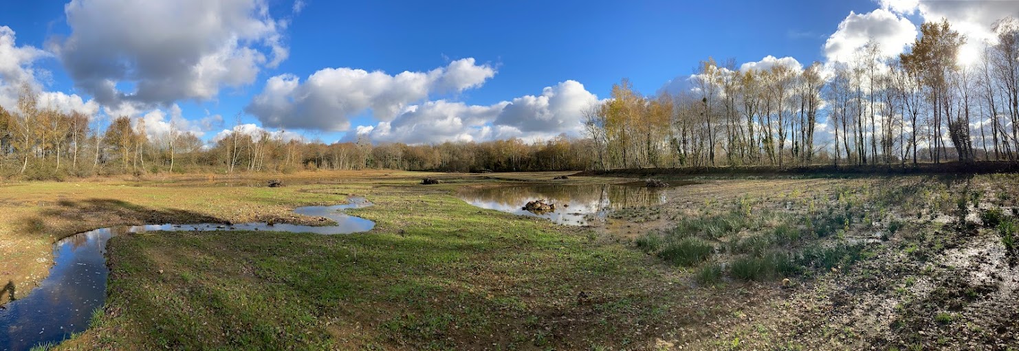 Restauration d'une zone humide sur cours d'eau temporaire | J'agis pour