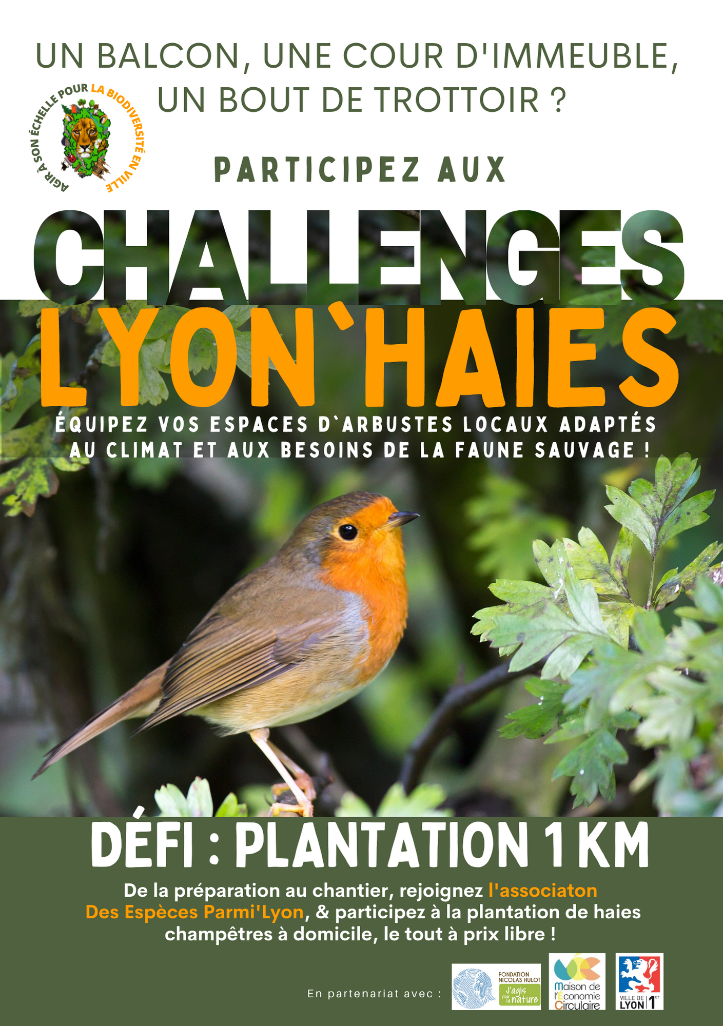 Flyers de présentation 