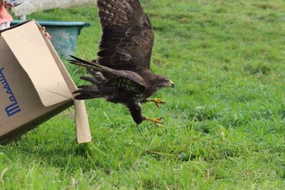 Relâché d'une buse variable