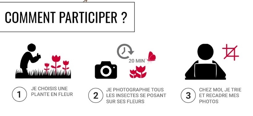 Mode d'emploi 1