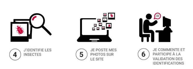 Mode d'emploi 2