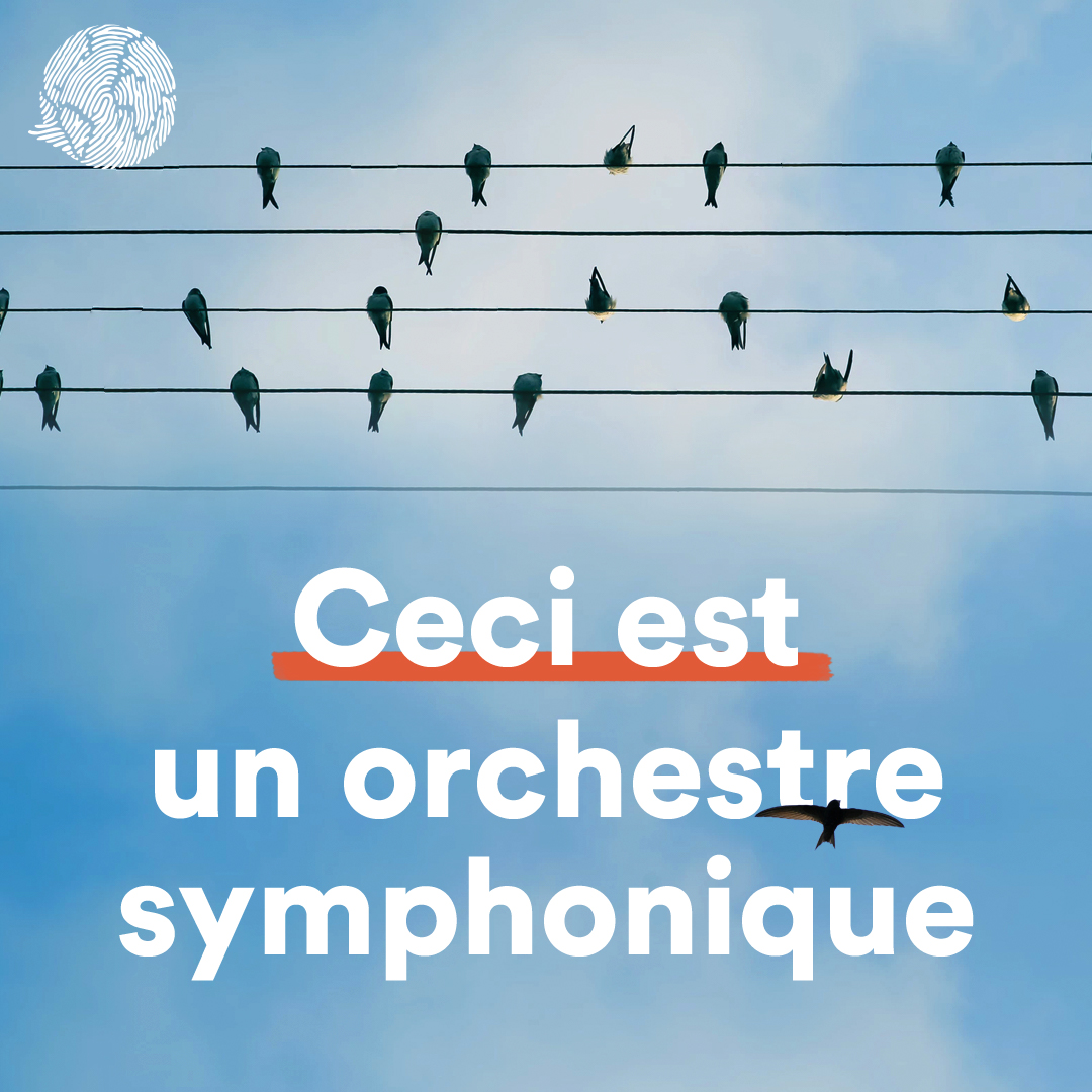 orchestre