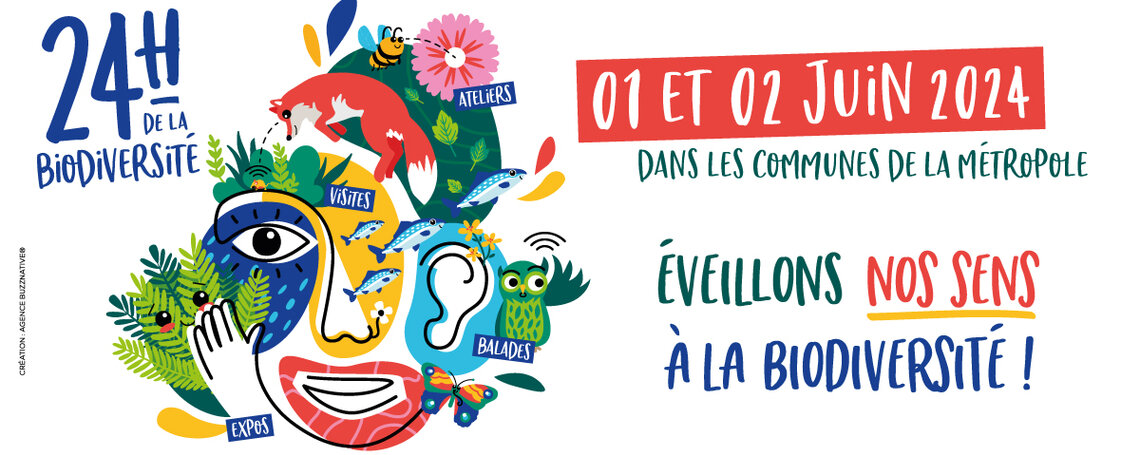 24h de la biodiversité, Orléans