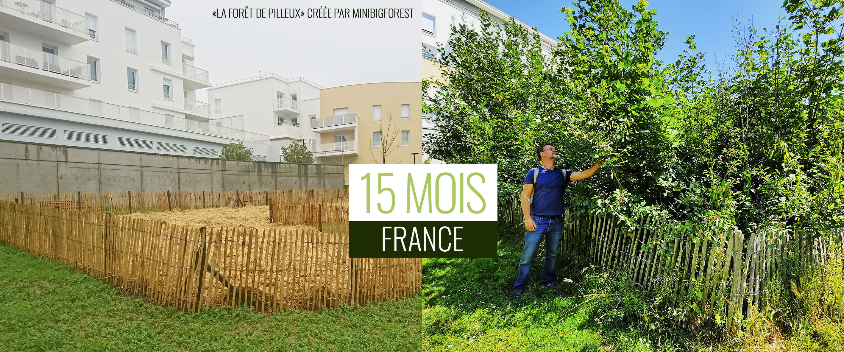 Ecolution de la forêt de Pilleux (Nantes) sur 15 mois