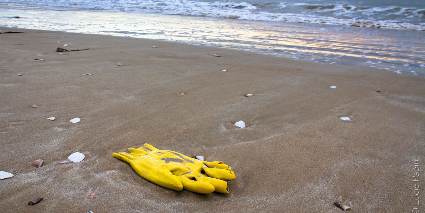 gant sur la plage ramasser