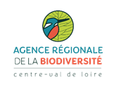 logo ARB CVDL