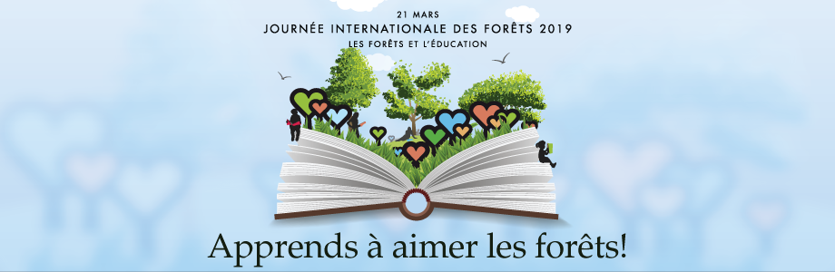 Apprends à aimer les forêts