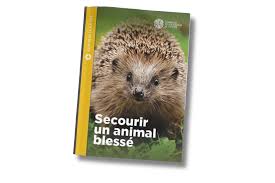 👉 https://www.fnh.org/agir-pour-la-nature/secourir-un-animal-sauvage-blesse/