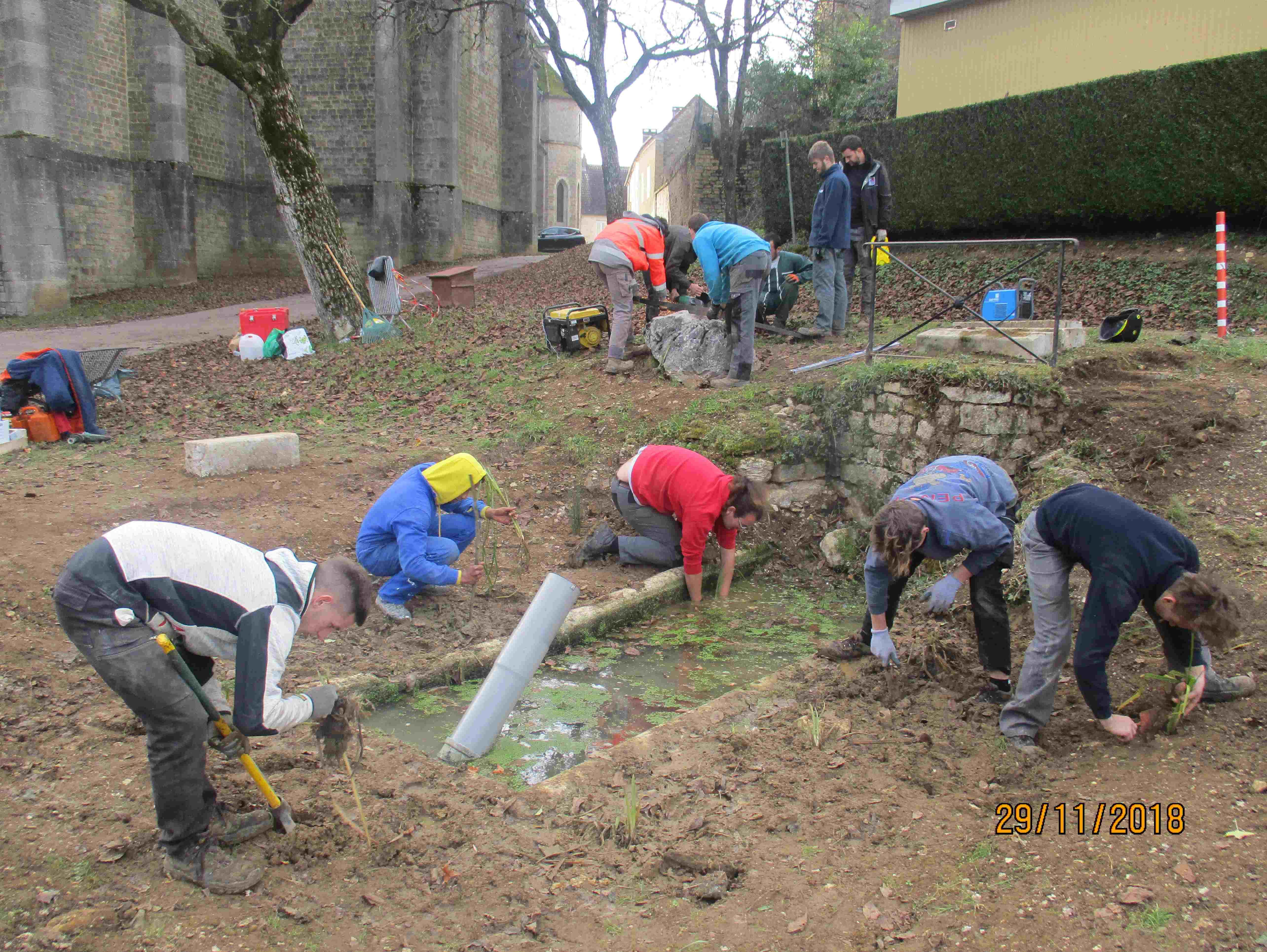 plantation de vegetaux