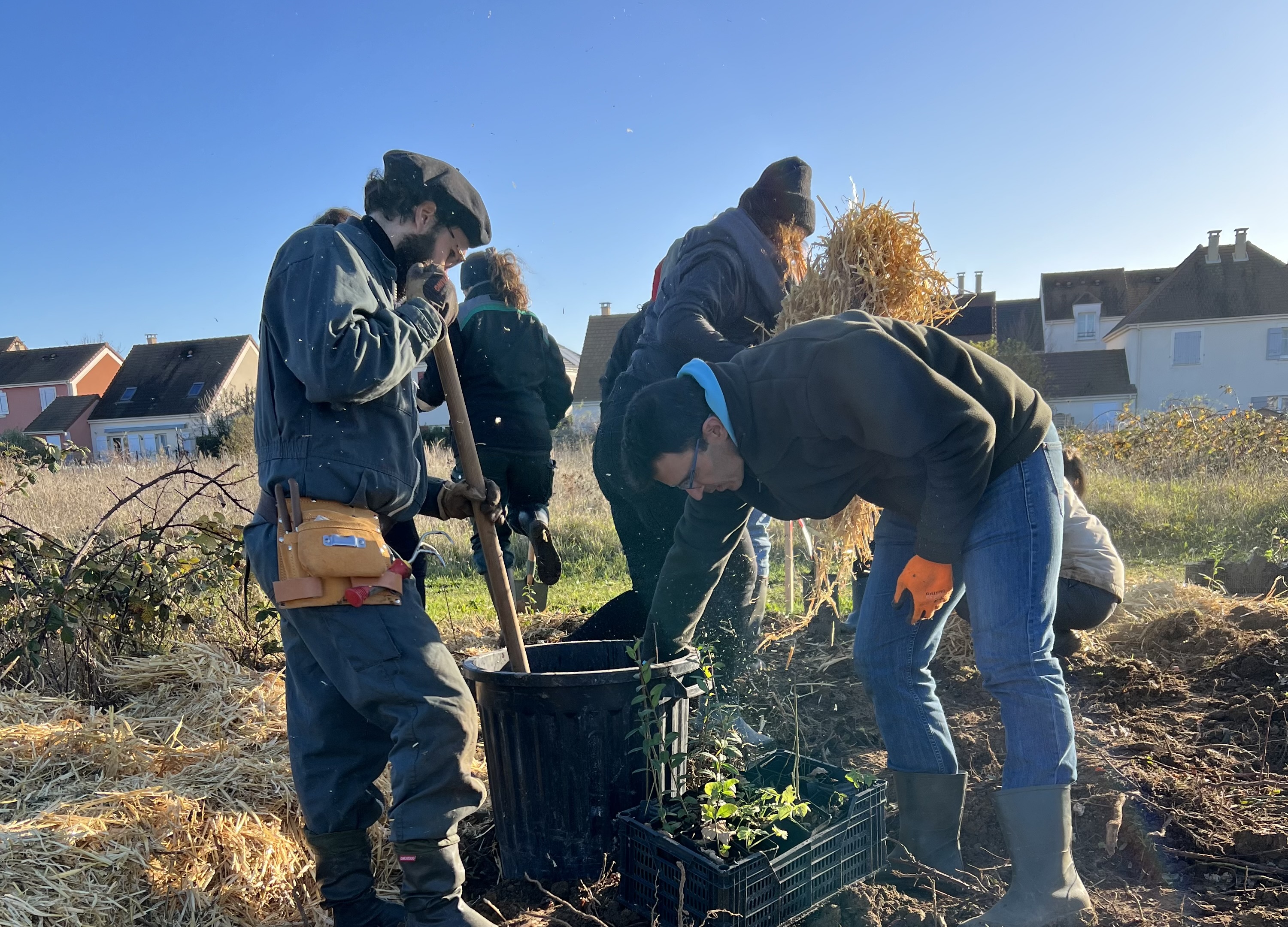 Plantation avec l'association Boomforest - Villiers-sur-Orge