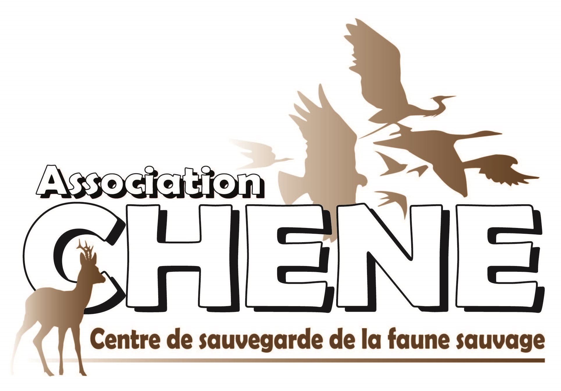 Association CHENE