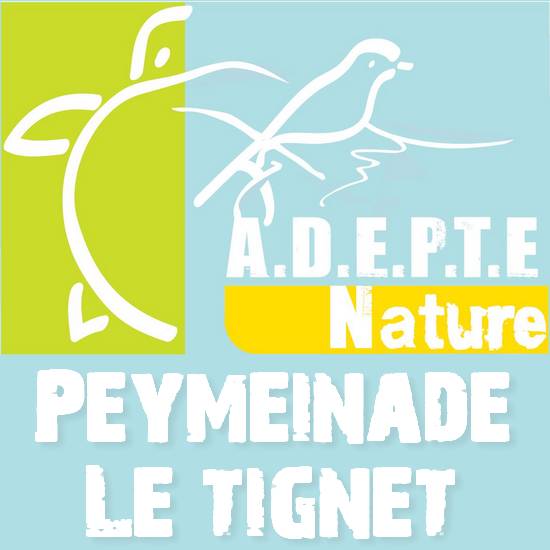 A.D.E.P.T.E Nature