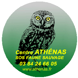 ATHENAS- UFCS Franche-Comté/Bourgogne Est
