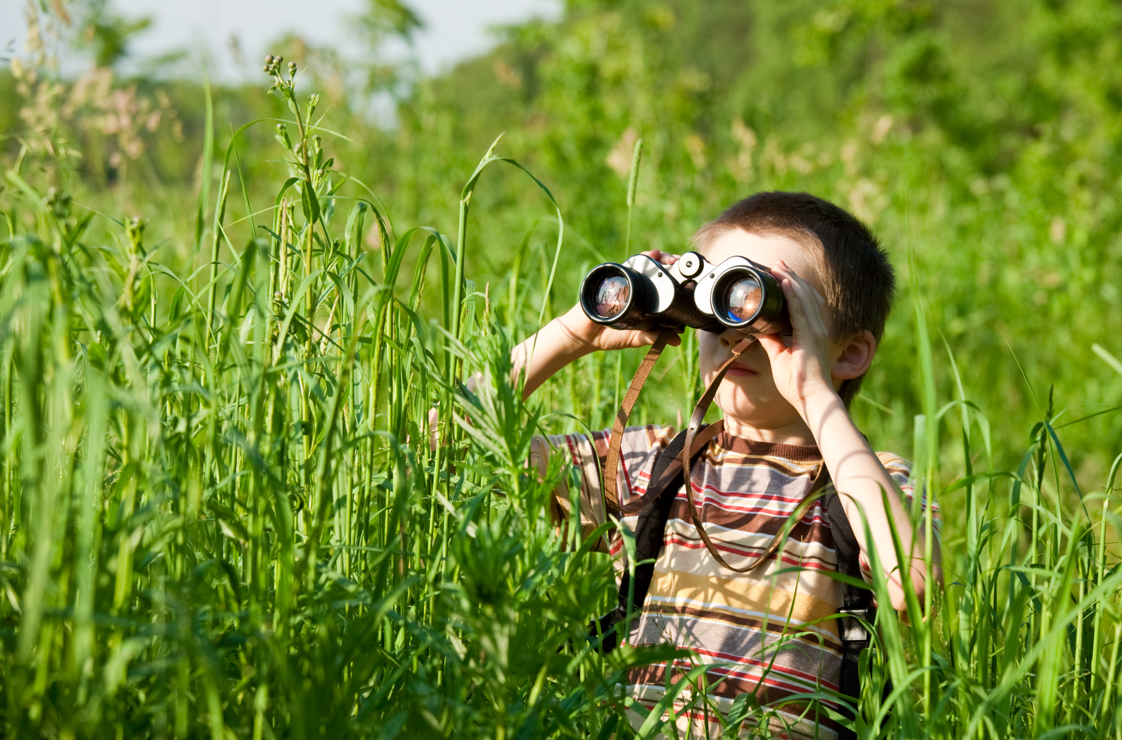 J'observe la faune et la flore